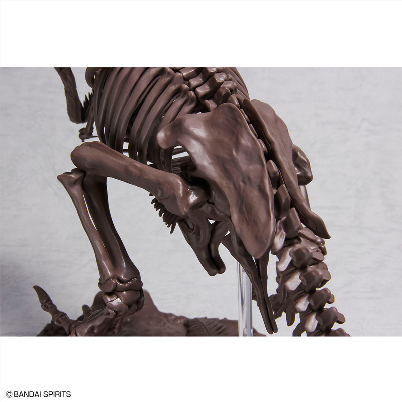 [반다이] 1/32 Imaginary Skeleton 티라노사우루스 프라모델 [5061800]